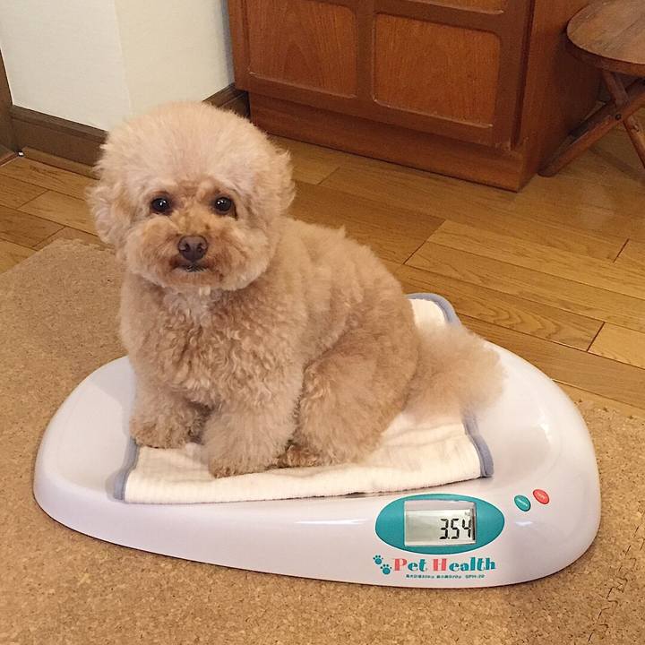 Ac2adcf5 12a5 43a0 b1be ae0c3361752e