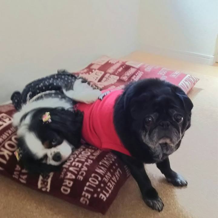 Ac2b55ec 43bd 489f aa3b 57aa6072de79