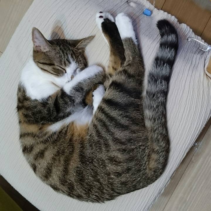 Ac2b9e01 e1d9 4db0 876c c37dfcdb396a