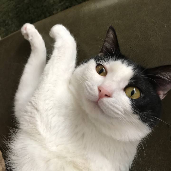 Ac2bbdac 4bce 4b96 bd06 3a94333d6a7b