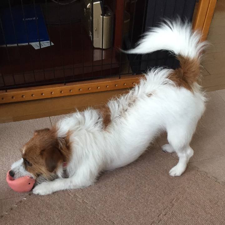 Ac2be671 2df9 448e 99c3 fb1caf2f6d67