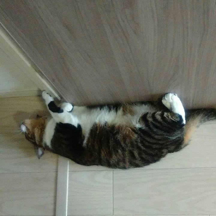 Ac2c8aa7 7375 4fd4 a00e 058c3583644f