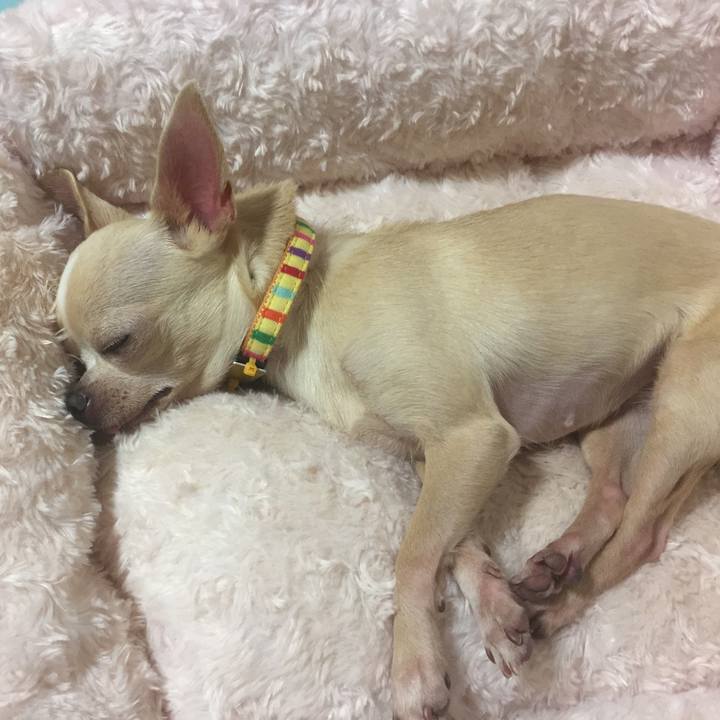 Ac2d2d5e 5465 424c 9a72 dc41fd1d52f7