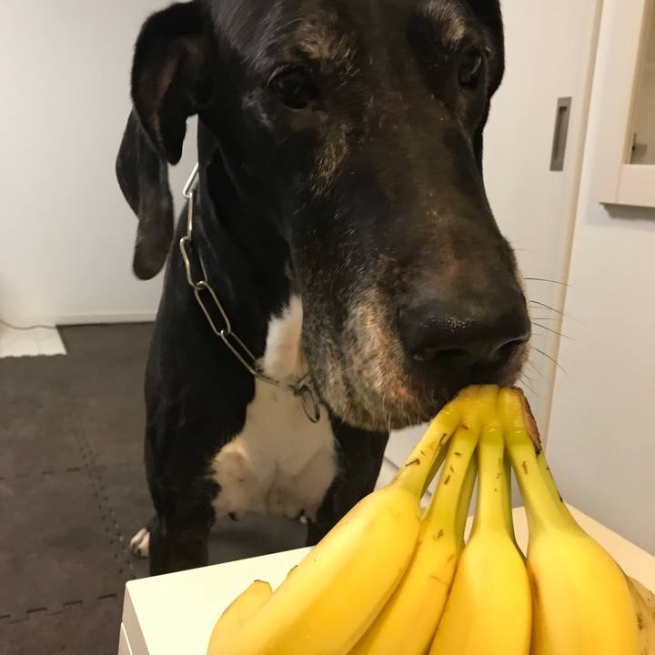 Ac2d464f 582e 4de2 b9c5 869658f714e4