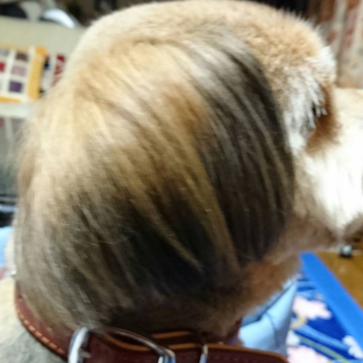 Ac2ef15a 70ec 44d5 8d79 d3cbc3f76430