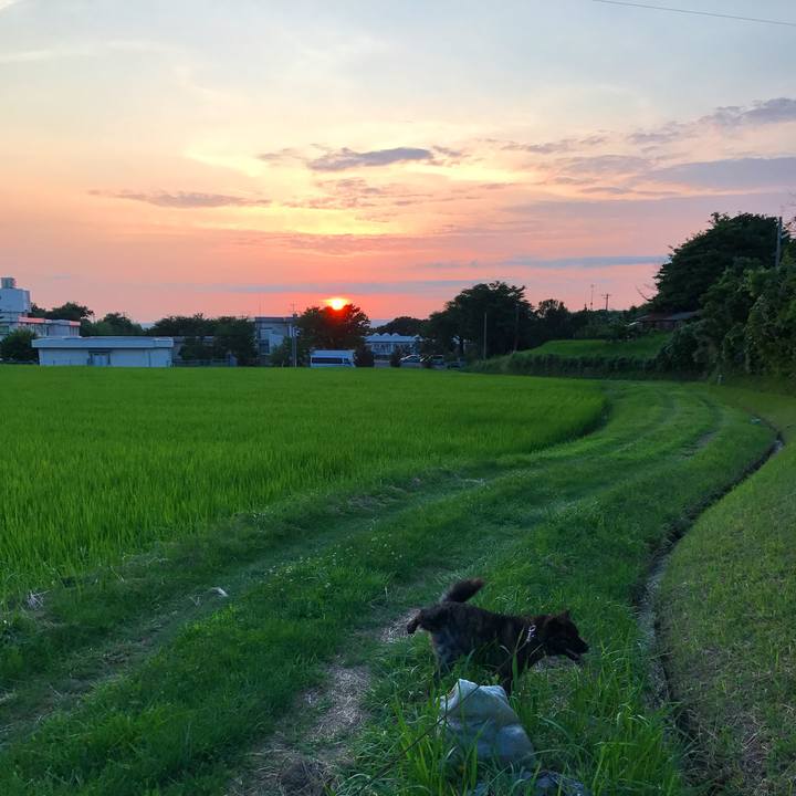 Ac2f0fb4 f5e1 48c4 bb26 501e289d6017