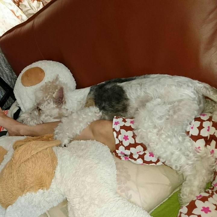 Ac2f4ab0 cb57 4984 a949 5930db886eaf