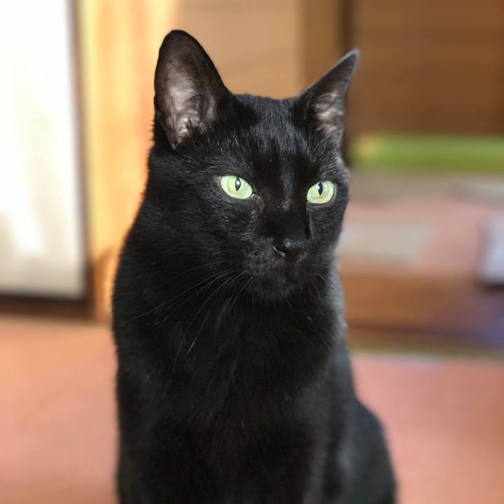 Ac306ea4 c316 493e 9903 2f64a5714bd1