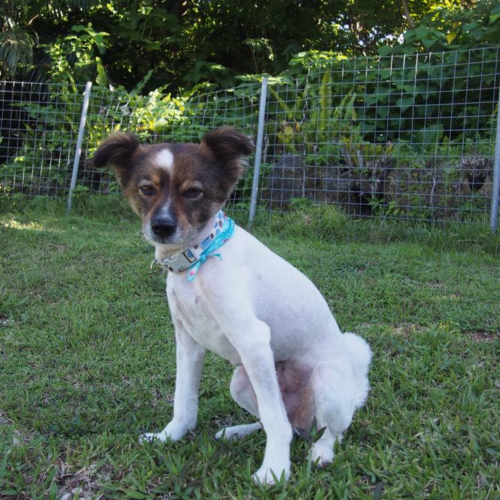 Ac30efa4 30c5 48eb a66f 5bd58d5af299