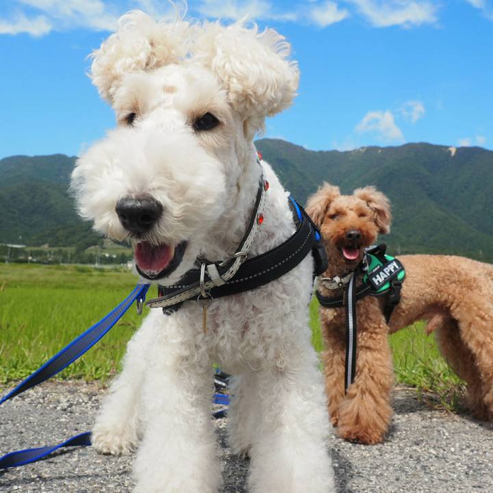 Ac30ffa4 fb32 4bfb a70d 27e0948cc584