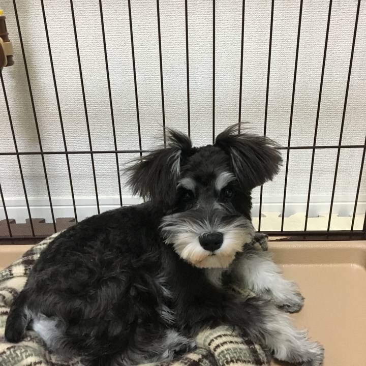 Ac319eae 358f 498f bdbc 89964e2cb9b2