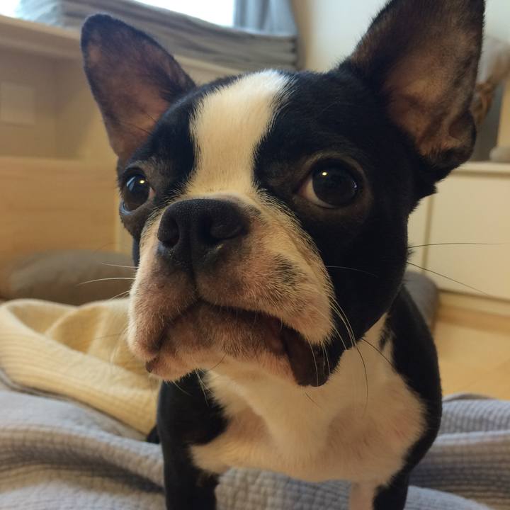 Ac31b04f dcdb 4cd0 aa64 ee320f1b2e03