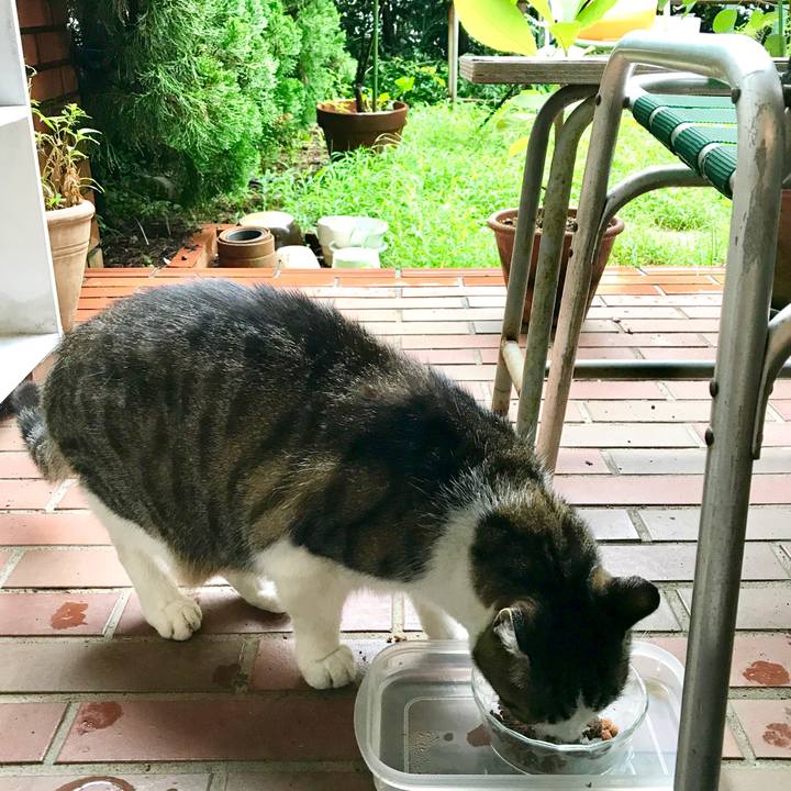 Ac31c1b2 5786 428d 90c5 00a4b83b5773