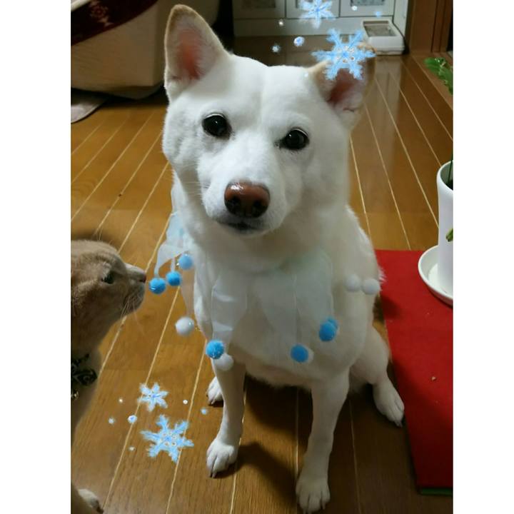 Ac31d912 98c5 423b a9c5 52a6a495b104