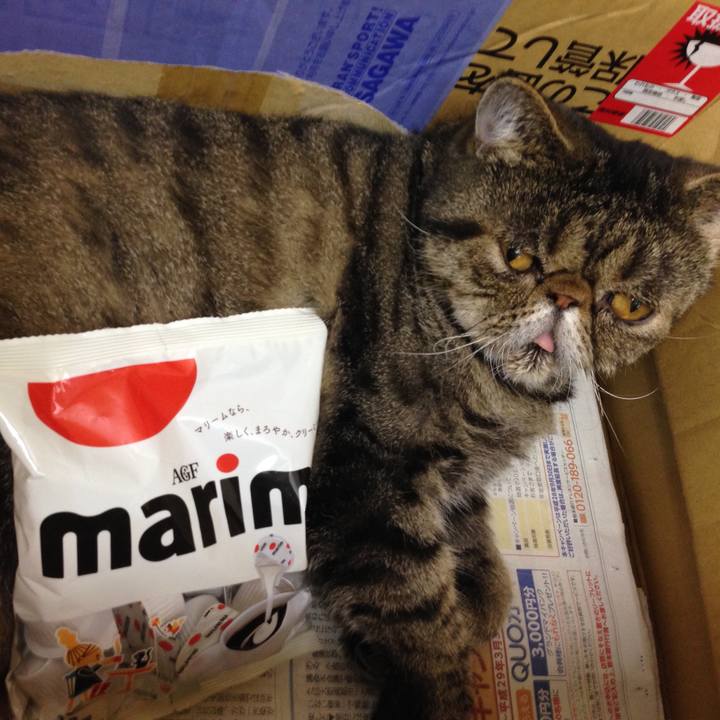 Ac32392b 1866 4457 8355 eb71911fcb54