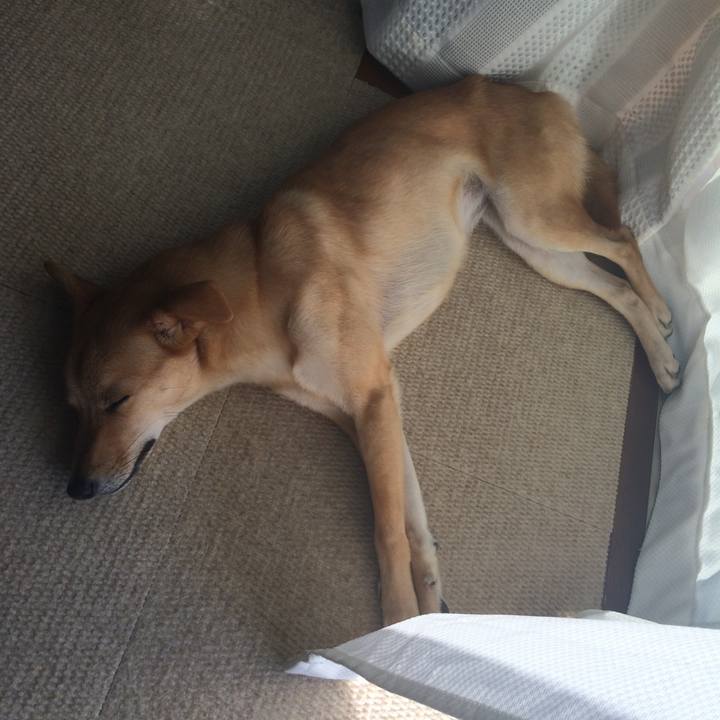 Ac3279d5 4016 4474 b4a9 d5f741459fc3