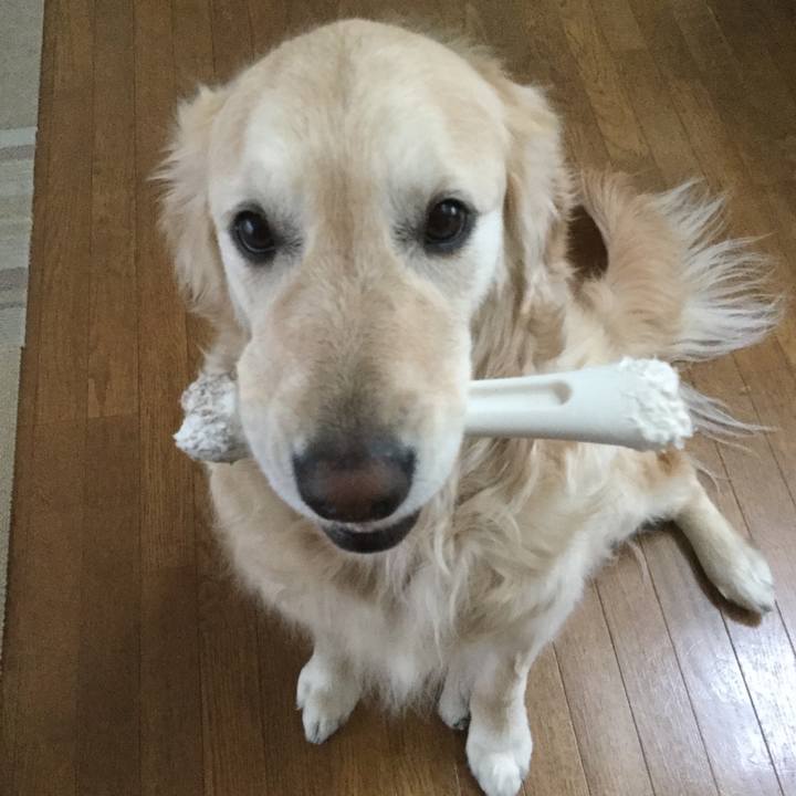 Ac329eb0 a388 487a 805b 19dd2ac1d37c