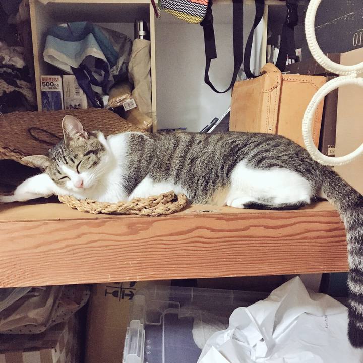 Ac32e91b 2215 4a99 890c 4181bdd63654