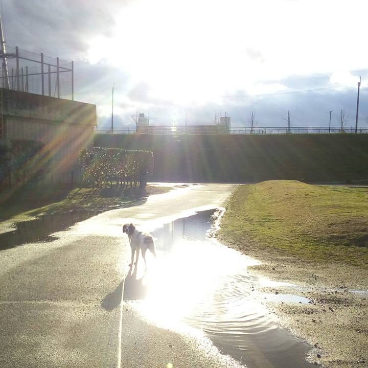 Ac33a03e 5582 466c 935a be2c867e8b04