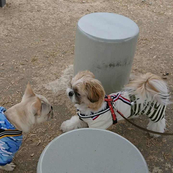 Ac33d27c 968e 474e a41f 76fca40c8ec6