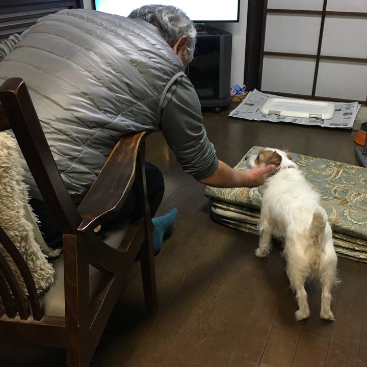 Ac34bf72 797a 4f93 9406 868d6cc24b54