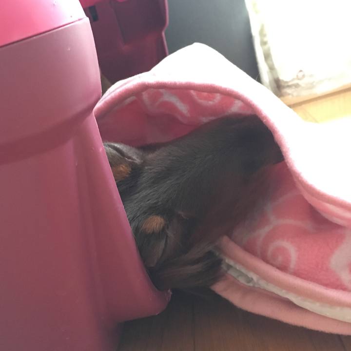 Ac34ddc0 e3dd 4c5d af42 815bba110f11