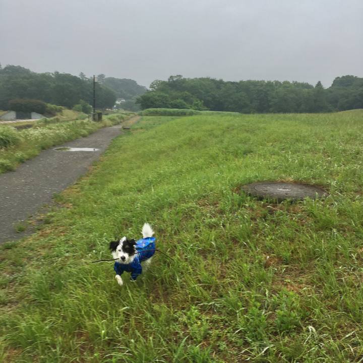 Ac35a758 1aac 402d 94eb 592cd372959d