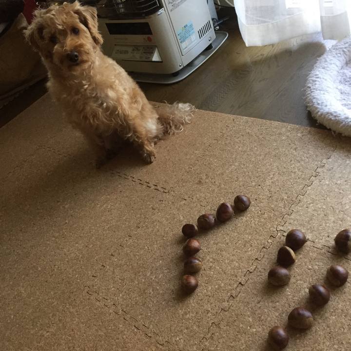 Ac35bdda bf92 47ca b2ea f7594ba97b66