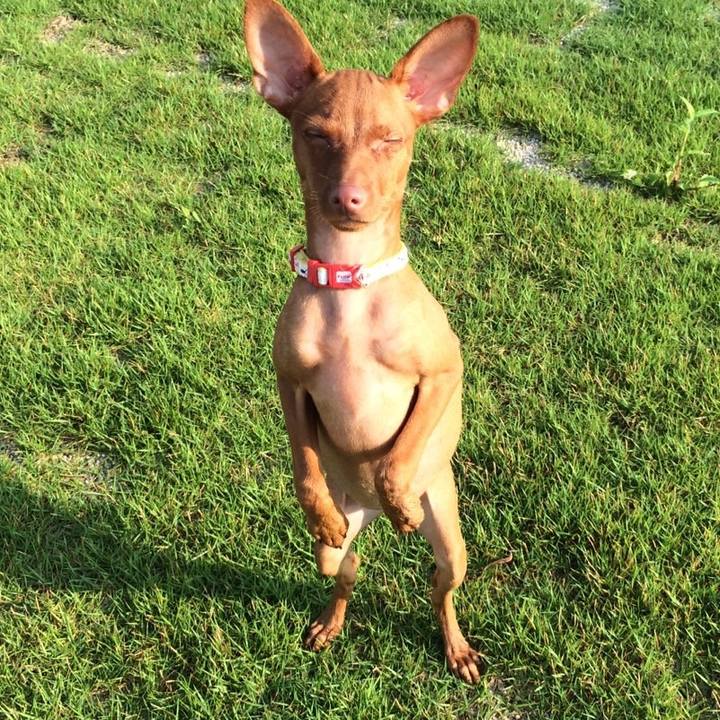 Ac3648b8 73aa 4cad 8cfe e8585f9ce89c