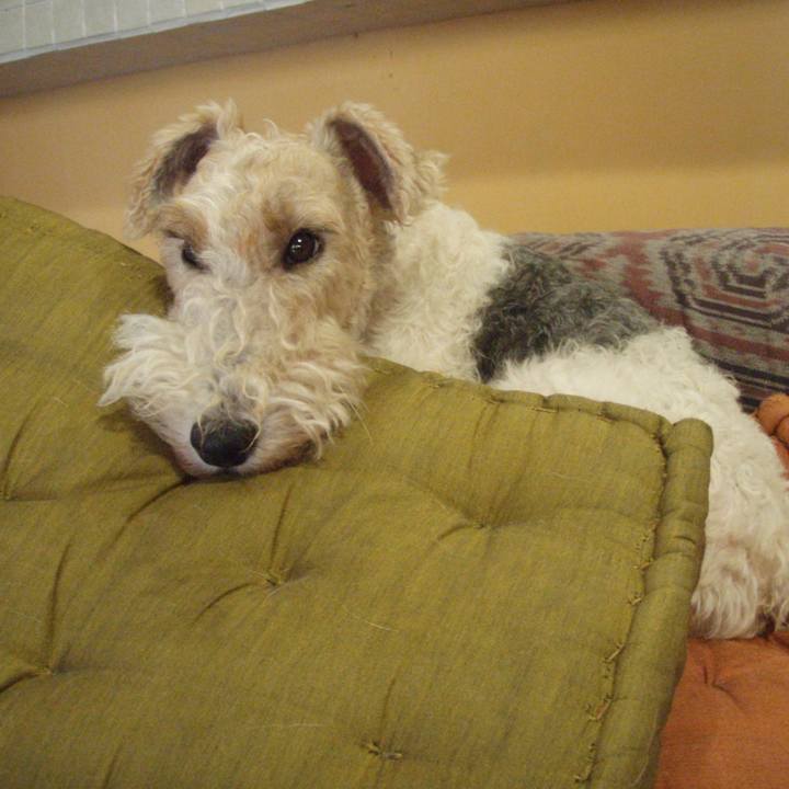 Ac3717f7 c174 44b1 a73b 09568edab7a5