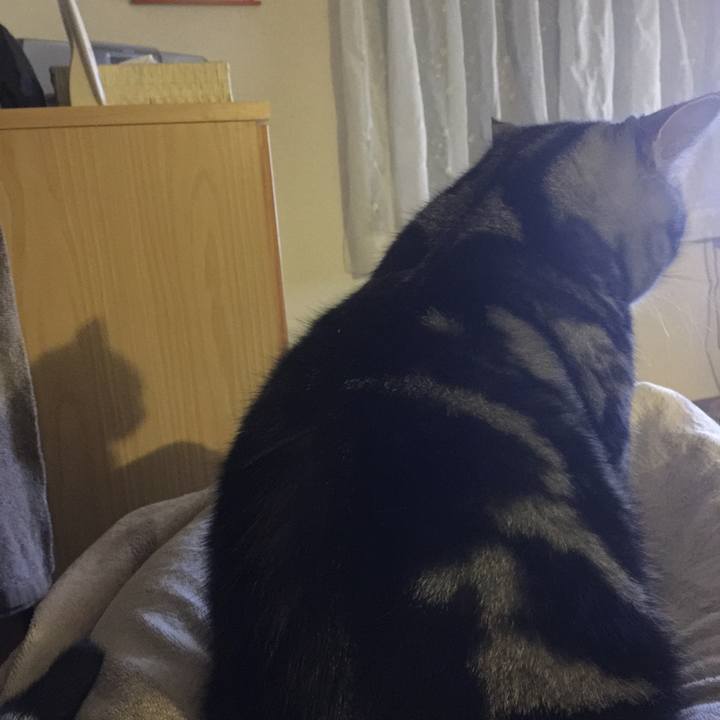 Ac381870 866f 4f99 9b57 7f42d0f3c0c4