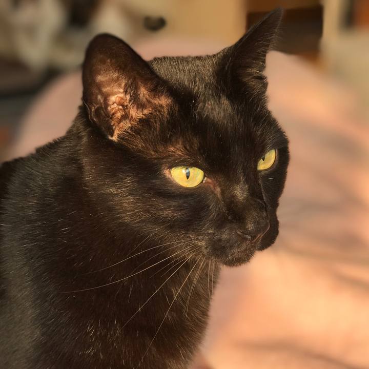 Ac382fbc 4b71 48da 99e4 47ff24cd8018