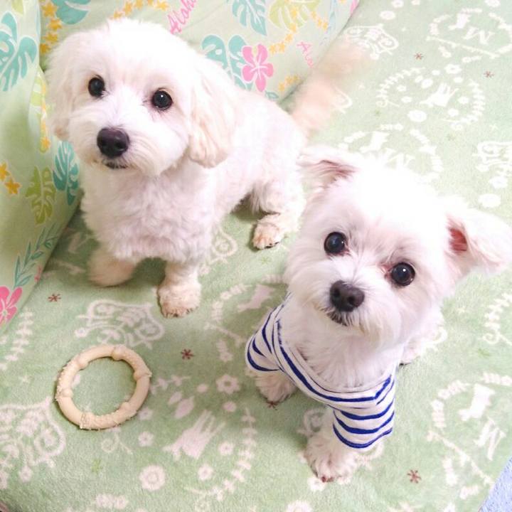 Ac3889b5 ab77 4dcd ae2a 3b1a4f1e9329