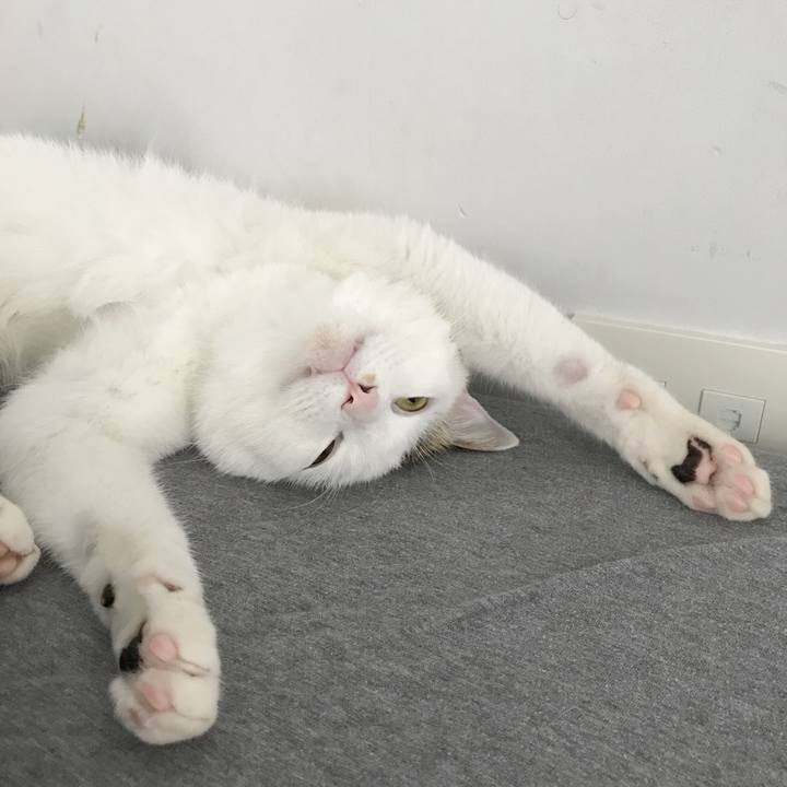 Ac39026a 508b 4790 95c6 dbdf21d3ec5f