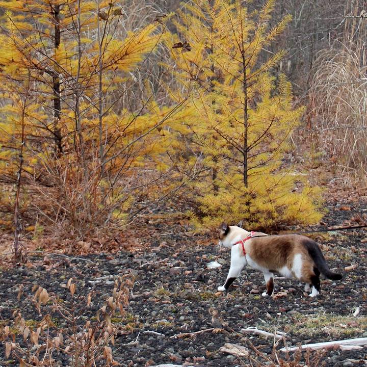 Ac39120f f91d 442d 8ba0 fa571c8aaa42