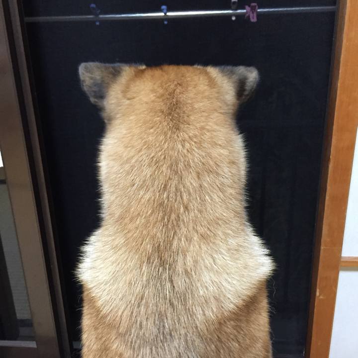 Ac3925c5 4780 4989 a412 5df542636234