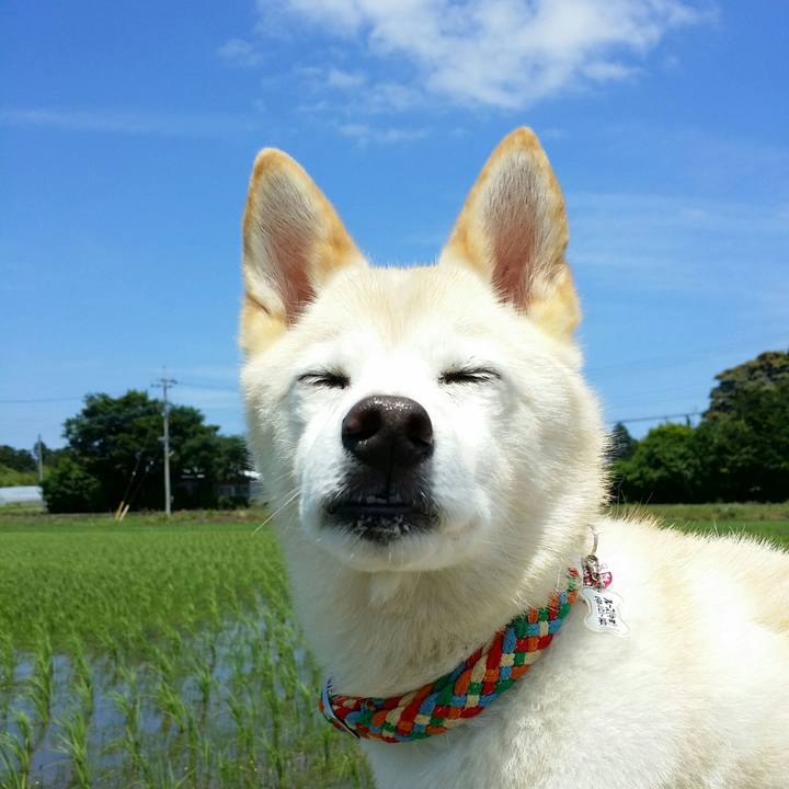 Ac3945c6 1cf1 4ac3 8c17 0567422b981d