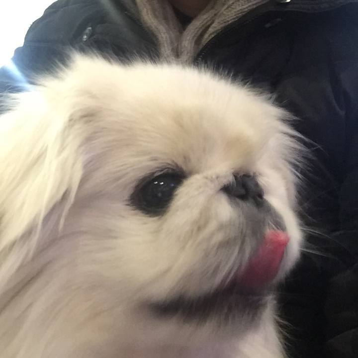 Ac3a0330 ac9c 4079 9066 ac1e1fa5b7cf