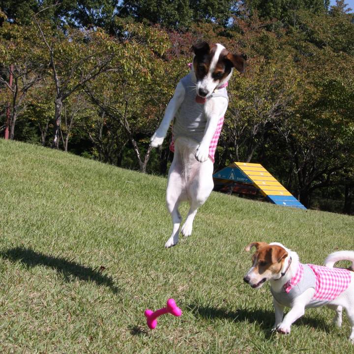 Ac3a40d9 05f1 4213 9df8 009b61673ba1