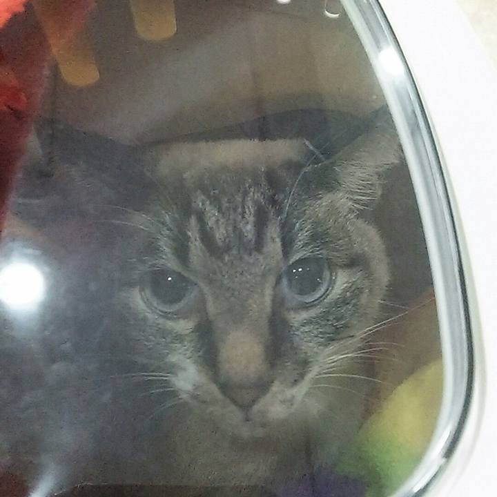 Ac3a4c0d df90 49e8 95a1 2feb93d7dd2f