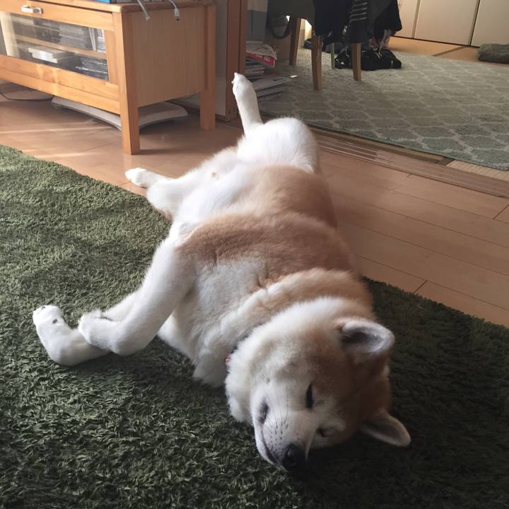 Ac3a698c cb82 4324 84e5 1614d00804c2