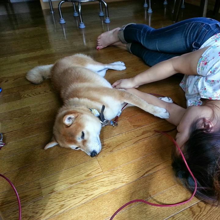 Ac3a6fa5 81a8 4bbf 91d7 3fbc8f65605f