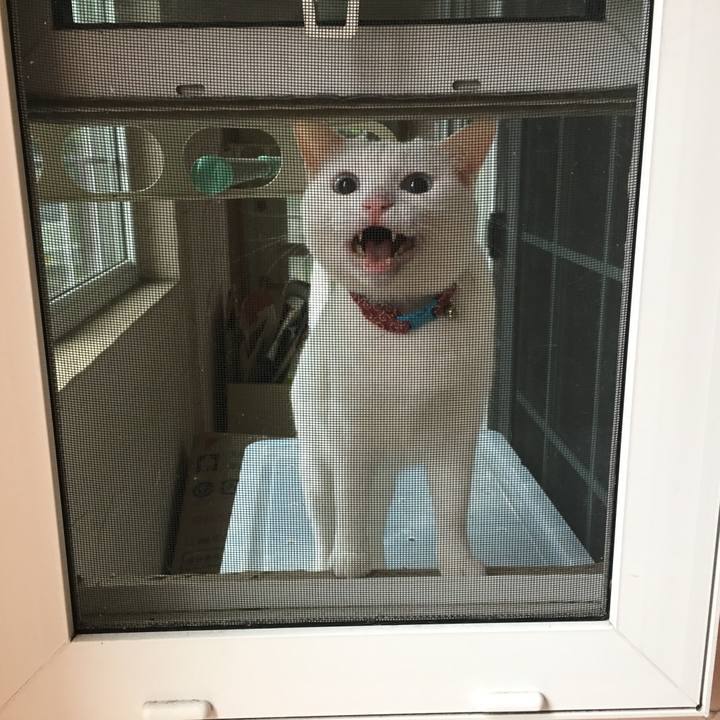 Ac3b3173 4aa7 4898 b2e4 655444de0201