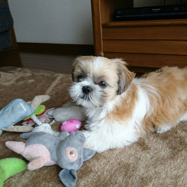 Ac3b3c86 2dc0 4a62 8d83 3842a259cf3c