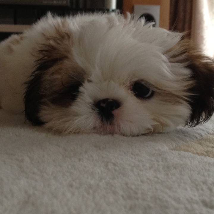 Ac3b68a9 f28b 49b4 8062 80b3b79baee2