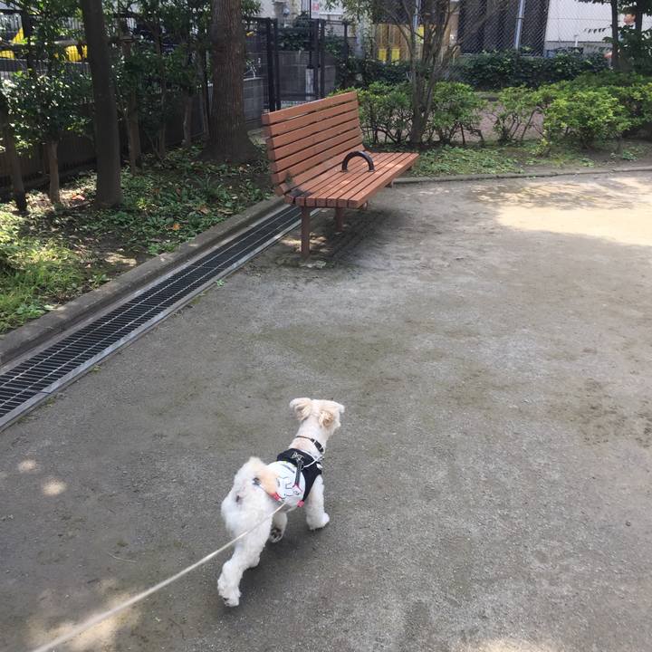 Ac3ba643 5d6a 40d8 ae2e 0bea38f3646a