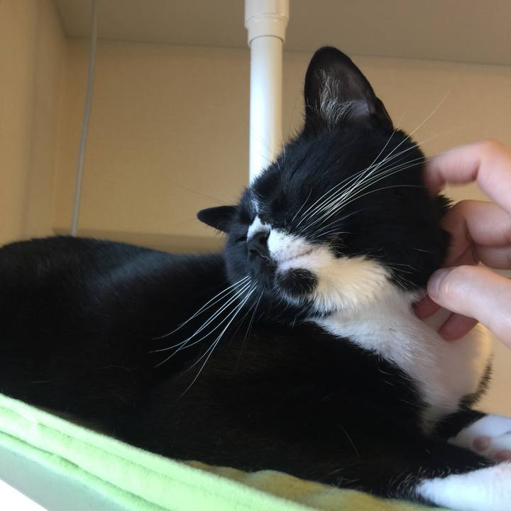 Ac3bb9f1 ceca 453a 905d 35acc8333a2a