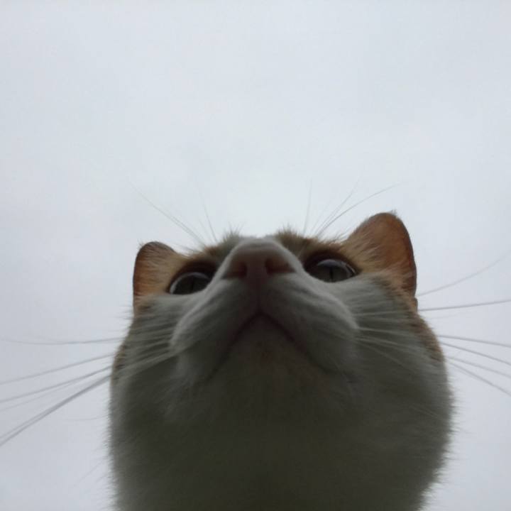 Ac3bd6ea d7b7 495f 858b 561f74fe013a