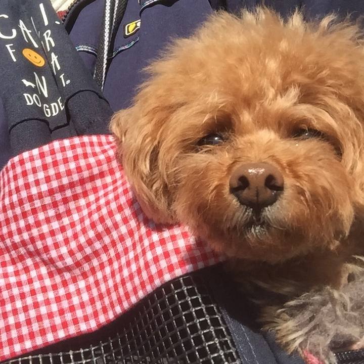 Ac3bfb2d 5a59 45e1 bd2f 0355893e3a7a