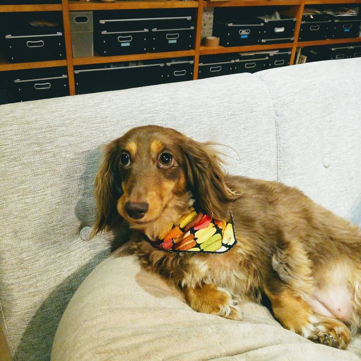 Ac3c80c2 9d8f 4f32 8b85 a743f6f0c716